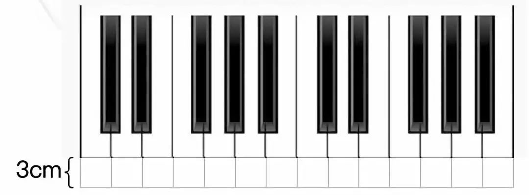 琴键比普通手卷钢琴长 3cm, 更接近钢琴白键长度,适合手指的弹奏!
