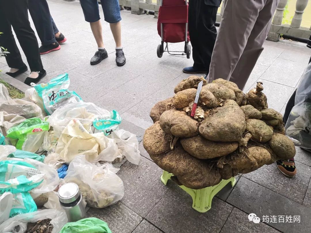 筠连惊现一块巨大"蛇莲,很多人都跑去看!