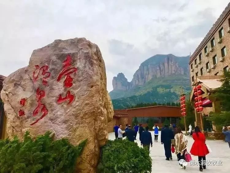 会议地址选择在风景宜人,绿水青山的黄崖洞壶山温泉度假村.