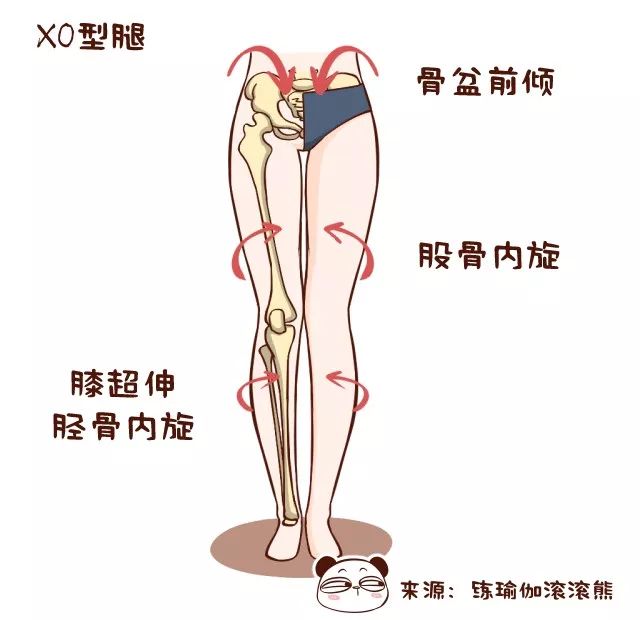 大腿脂肪存在的部位较多,在大腿内后侧,前侧以及膝内侧等,都是脂肪的