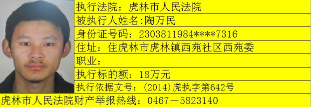 雷霆行动 | 失信曝光台:被执行人王大鹏,李训吉,谢廷福,陶万民,董萍