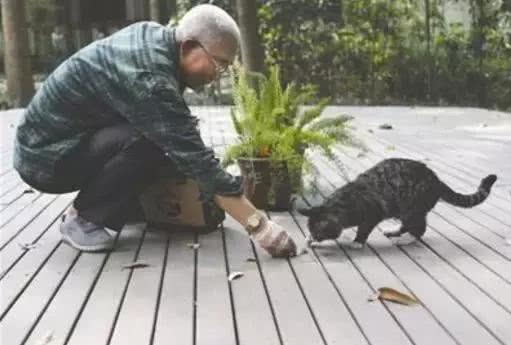 日本94岁老人养了一只橘猫,猫咪每天听老人说过去的事,太暖心 