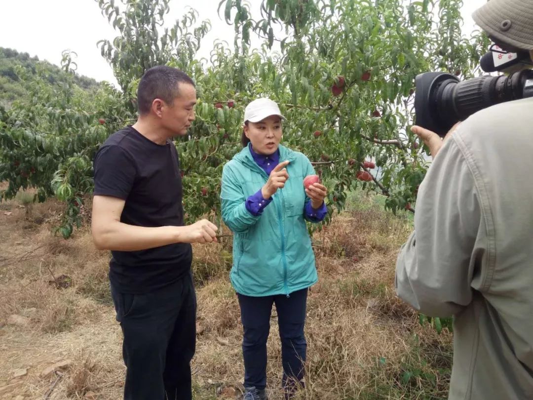 中央电视台财经频道《生财有道》栏目组来渑池啦