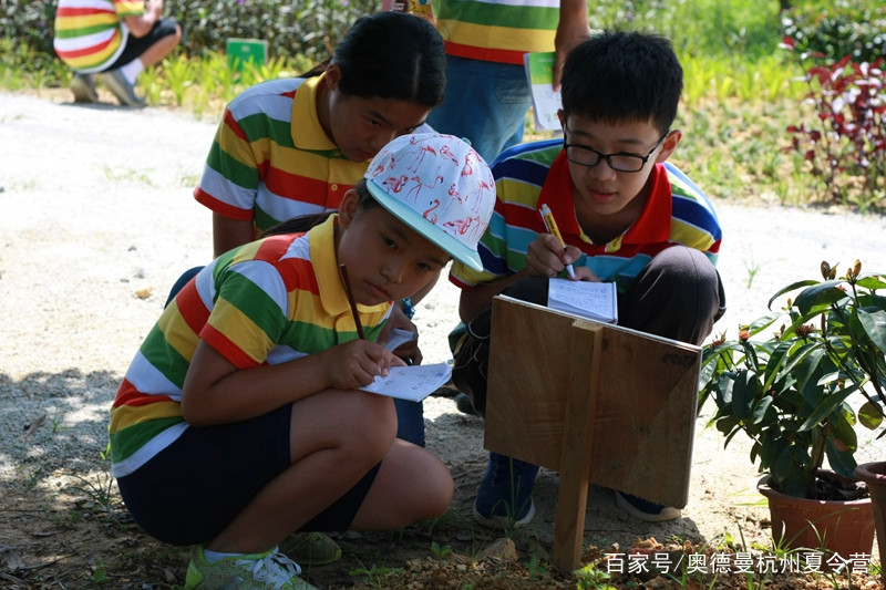 奥德曼星空体育APP杭州夏令营品牌机构让家长放心报名只为遇见那个你(图4)