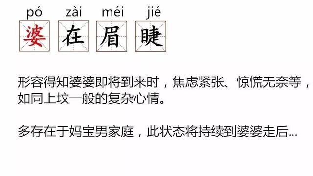 养什么什么什么成语_成语故事图片(2)