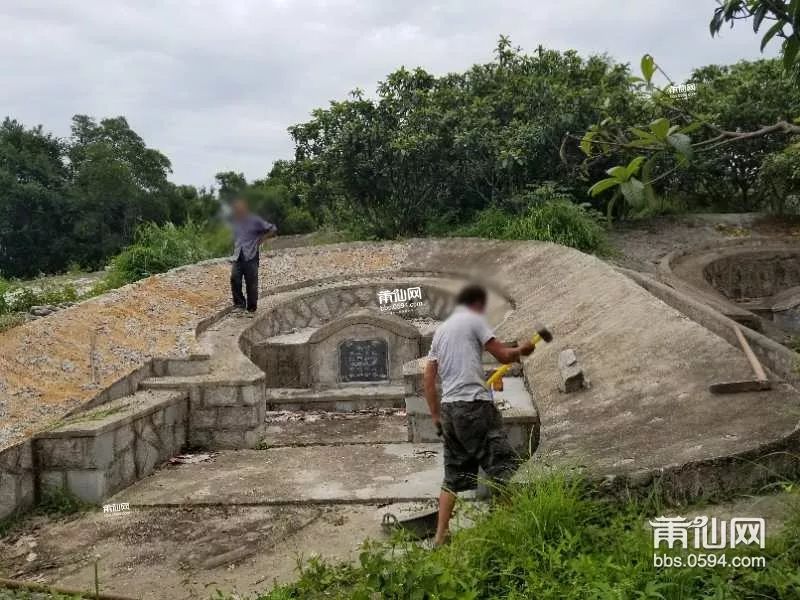 我前几天路过壶公山北面的小山上,刚到坟墓较多的那段,整个人都惊呆了