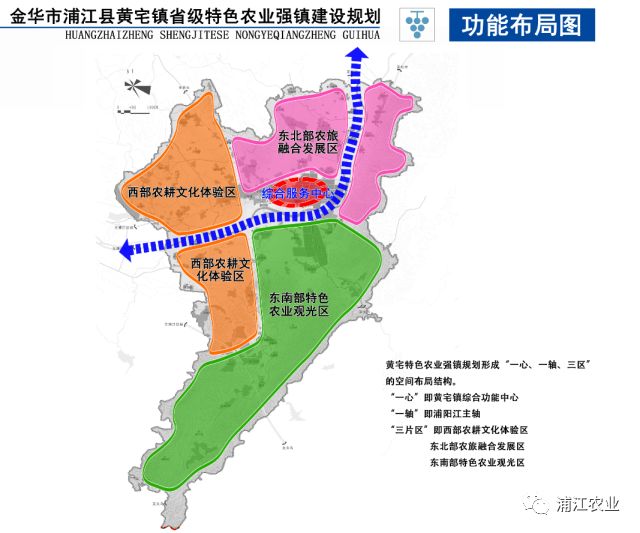 省农业厅产业处副处长陈建明一行来浦指导黄宅镇葡萄特色农业强镇工作