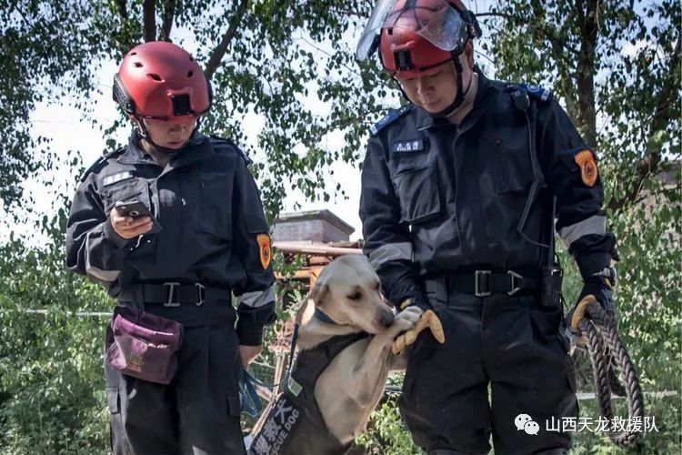 天龙救援队k9救援犬中队的训练与募捐