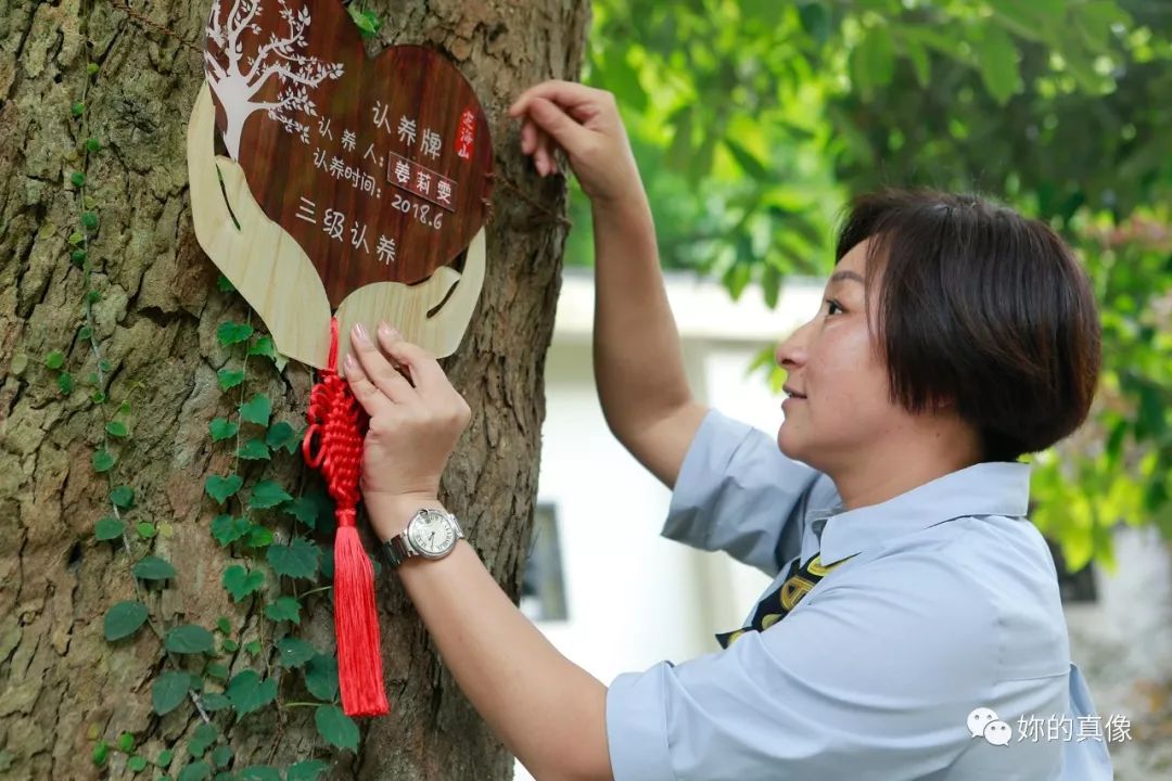 市民亲手挂上认养牌