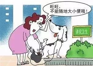 不让爱犬在公共区域随地大小便,如有排泄物,请及时清理并妥善处理.