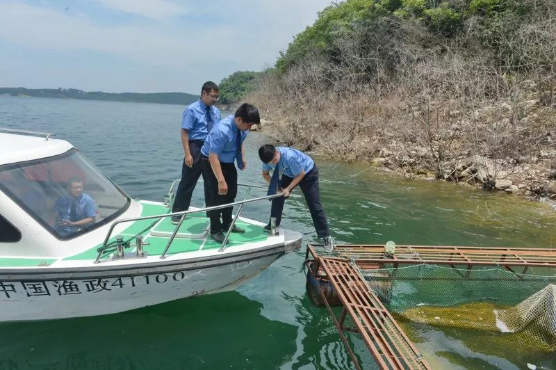 查获非法钓鱼11人.淅川与丹江口市水上联合执法巡查行动!