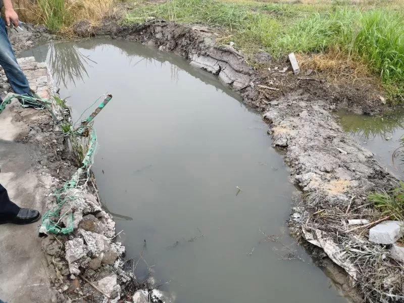 【五水共治】违法排污零容忍,雷霆拆除违建物—路南街道展现治水