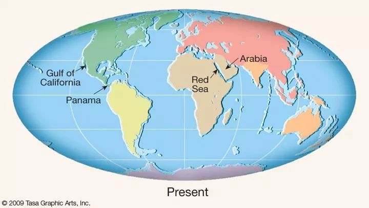 海洋微课堂(44)| 魏格纳大陆漂移学说 theory of plate tectonic