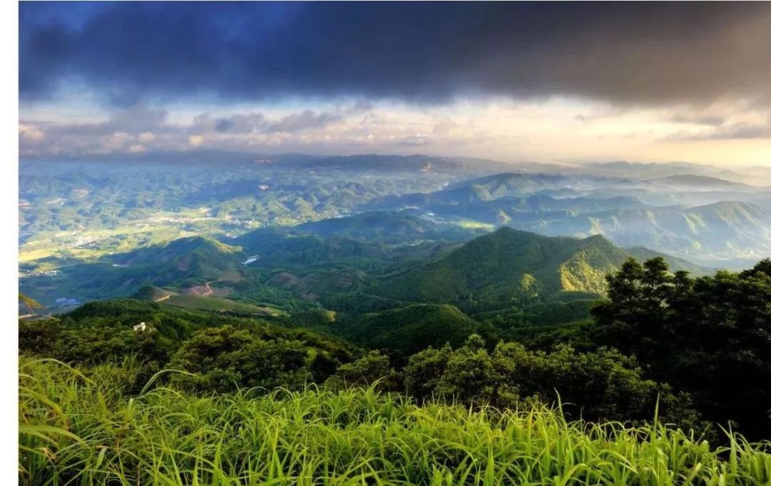 今天,佛山正式向全世界发出邀请函