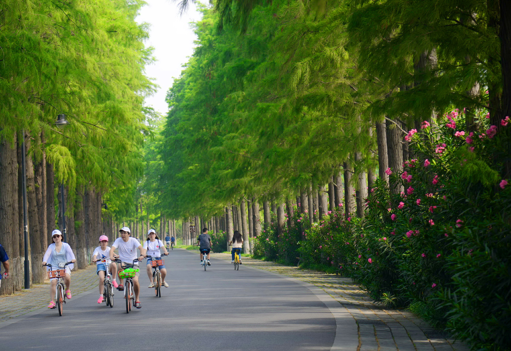 骑行东湖绿道,一路风景一路歌