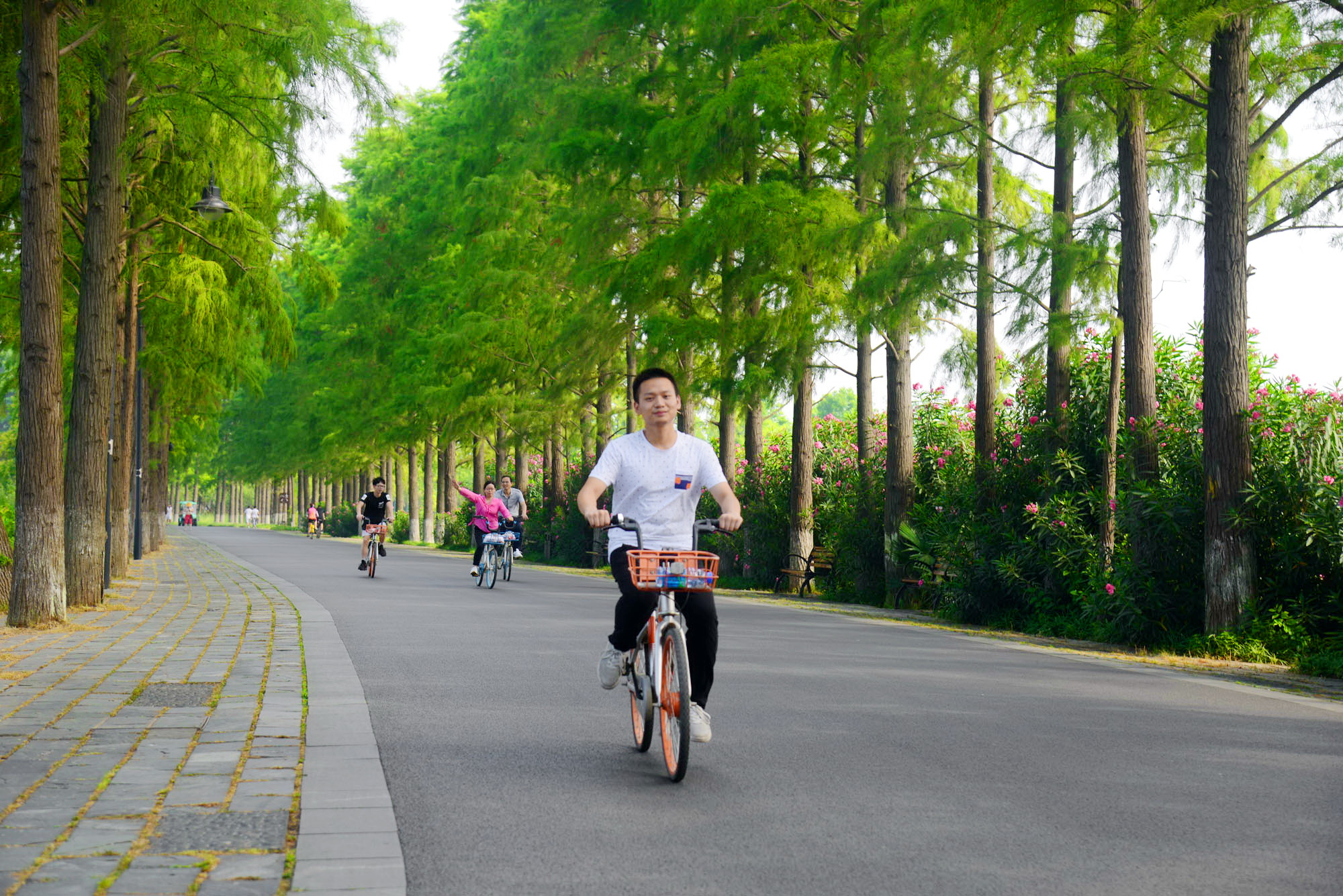 骑行东湖绿道,一路风景一路歌