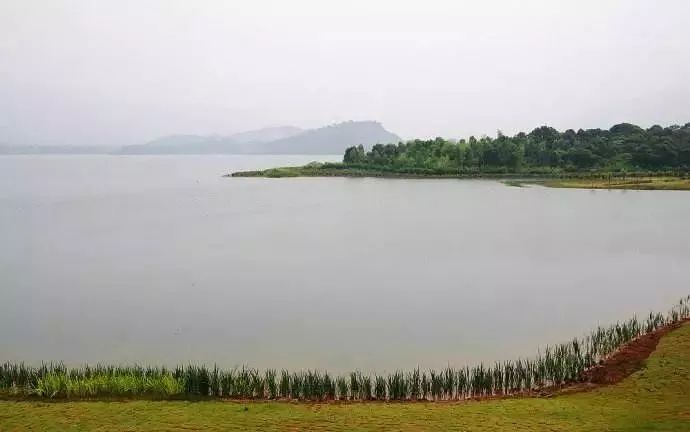 油车水库