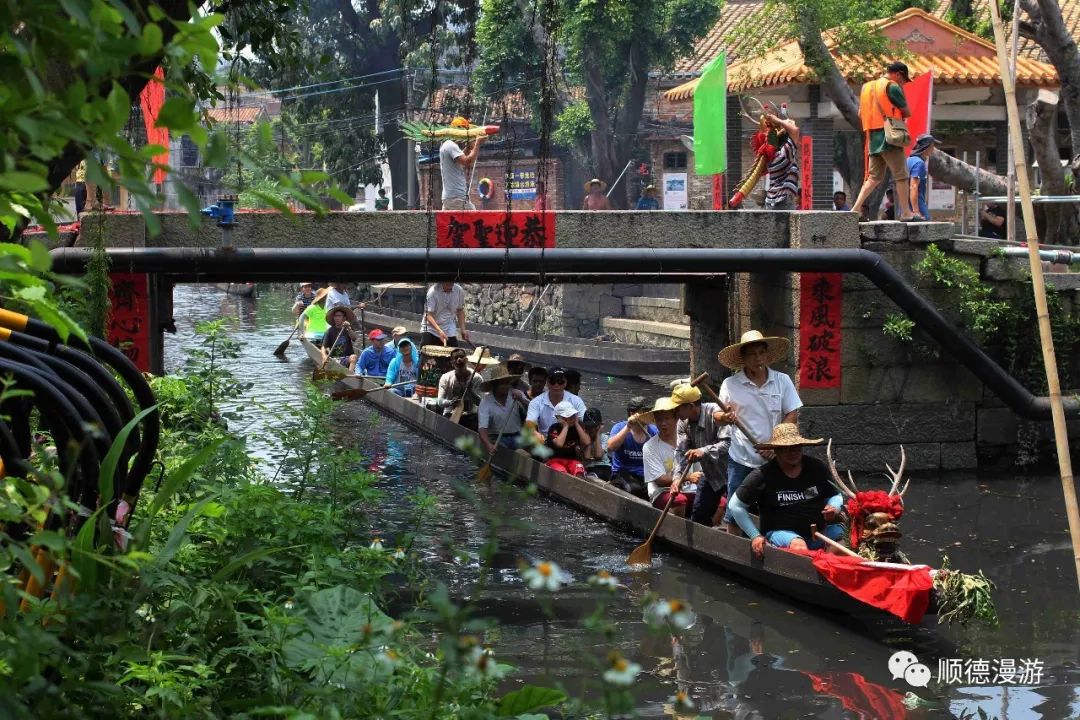 顺德大门龙舟趁景2018