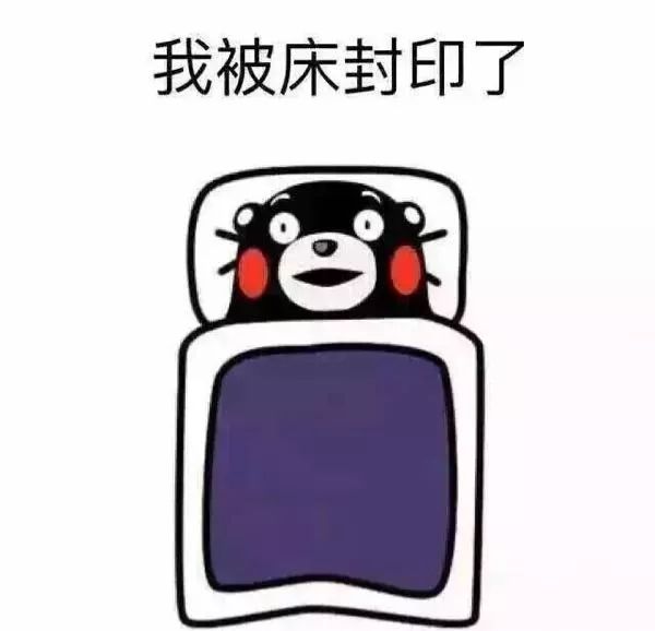 周末就待着家里不要出门