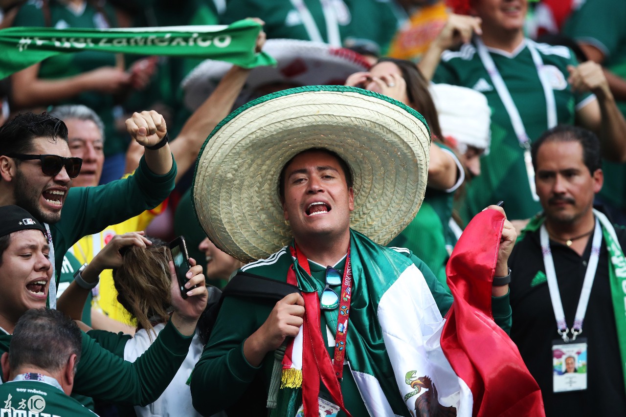 伊布现场观战德国墨西哥 引发球迷疯狂追捧