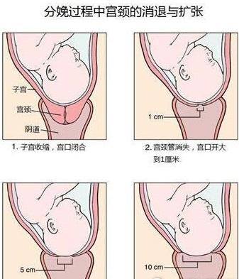 开宝是什么意思