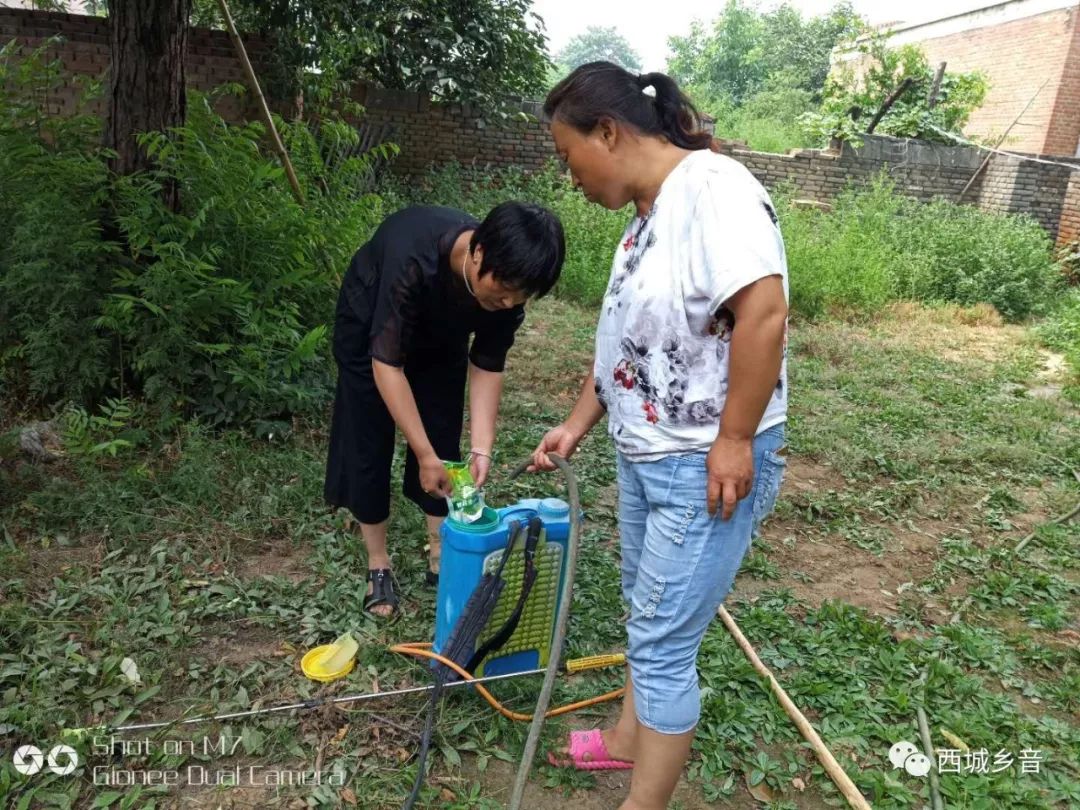 文英乡人口_上饶文英国际图片