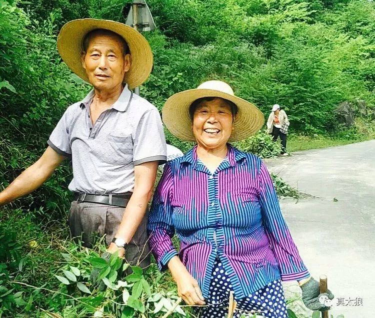 原银峰村老书记夫妇七十多岁坚持参加劳动