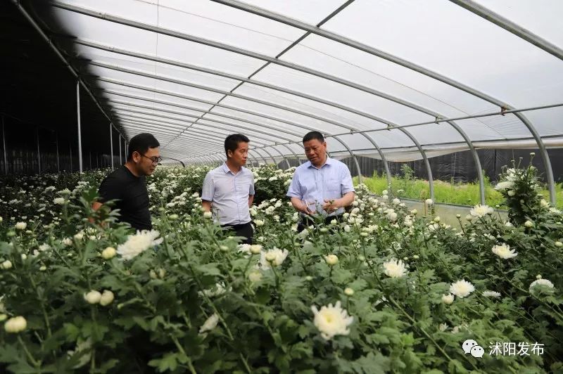 钟祥市胡集镇经济总量_钟祥市胡集镇地图