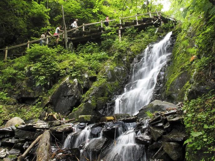 旅游 正文  凤凰山国家森林公园坐落在黑龙江省山河屯林业局内,有海拔