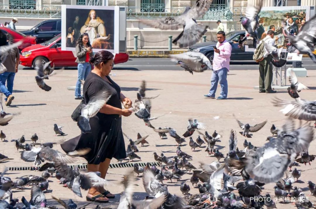 圣萨尔瓦多广场上呈现的人生百态