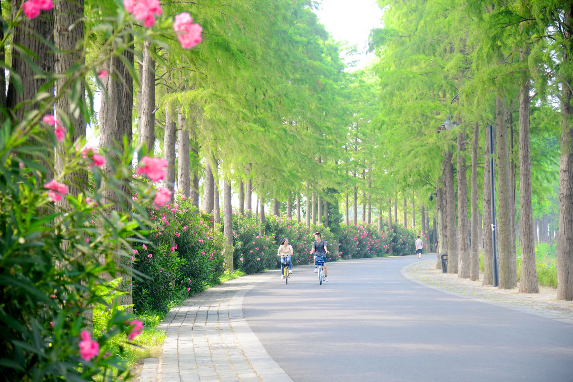 骑行东湖绿道,一路风景一路歌