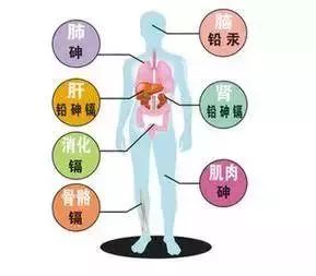 gdp对人体的危害_江苏盐城2019年上半年GDP出炉,省内排名多少(3)