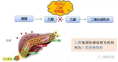 人口积聚_人口普查(2)