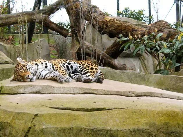 推荐| 巴黎既便宜又好玩的动物园水族馆植物园!(宝妈