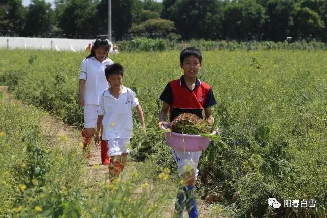 北师大朝阳外语小学前来农机试验站进行学农教育主题活动