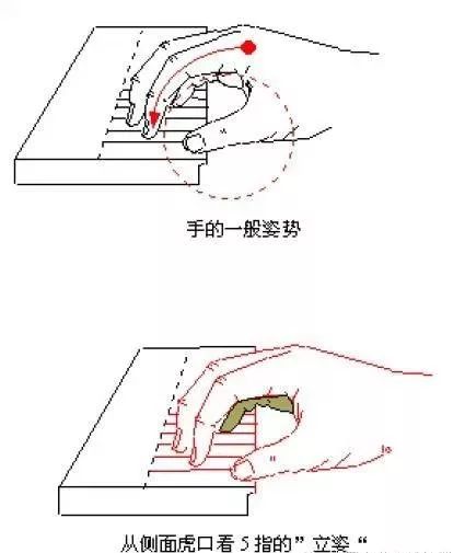 钢琴小课堂丨孩子学钢琴手势简图值得收藏