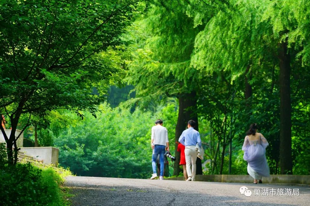 炎炎夏日,东庵森林公园让你既能消暑纳凉,又能赏景散心!