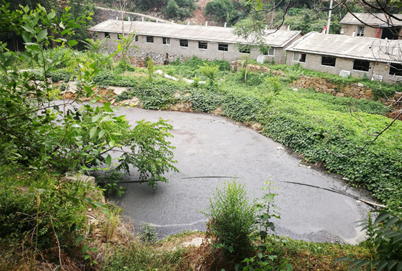 吴川市流滩村有多少人口_吴川市塘尾街道边坡村