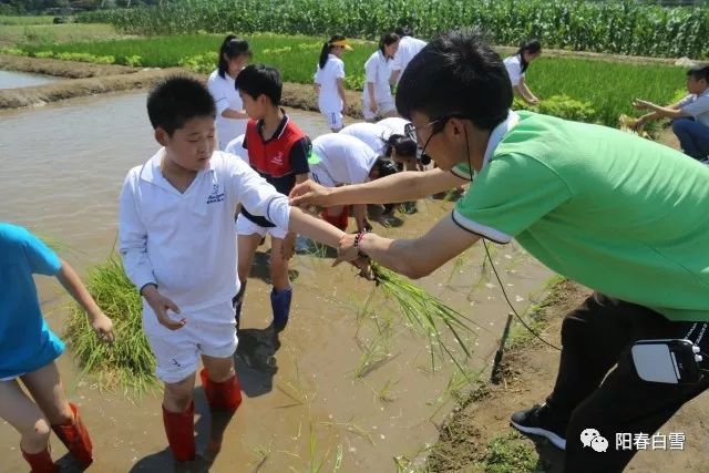 北师大朝阳外语小学前来农机试验站进行学农教育主题