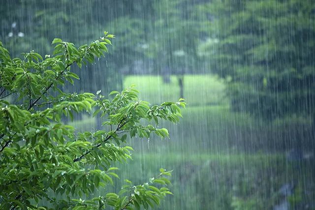 梅雨登场!接下来衢州天气很难熬,高温,高湿,雨雨雨