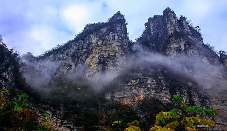 沐峰村人口(2)