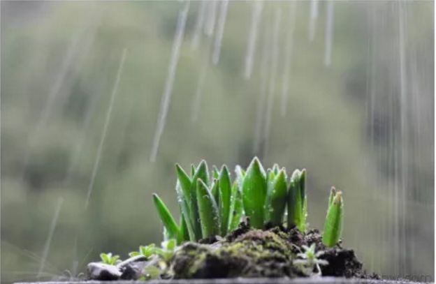 更可怕的是 接下来的一个月里, 不下雨的日子一只手都数得过来