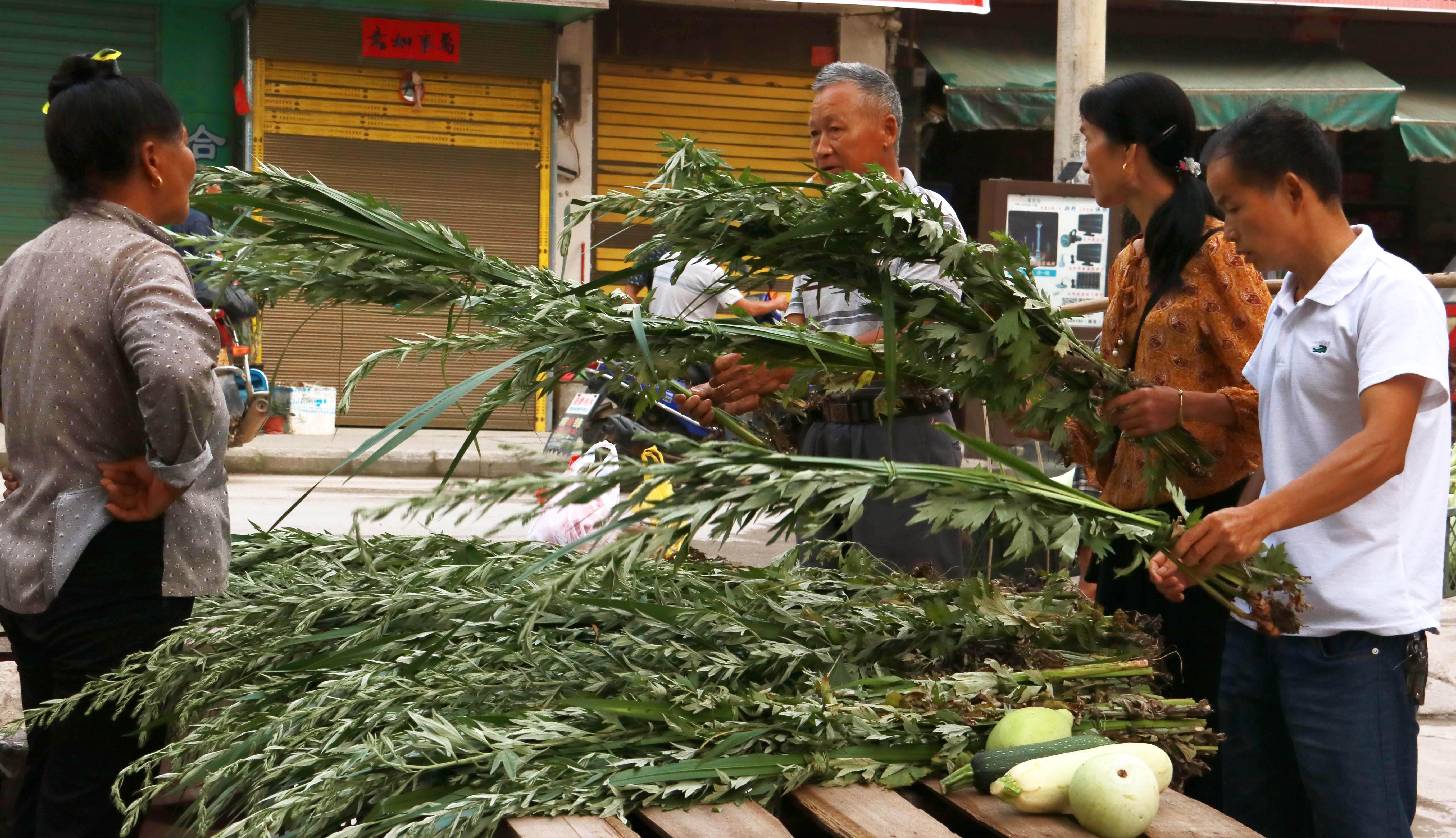 贵州从江县:端午节习俗家家户户门眉上悬挂艾草菖蒲