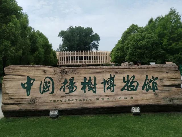 还先后参观了洋河酒厂泗阳基地工业旅游区,妈祖文化园,杨树博物馆,成