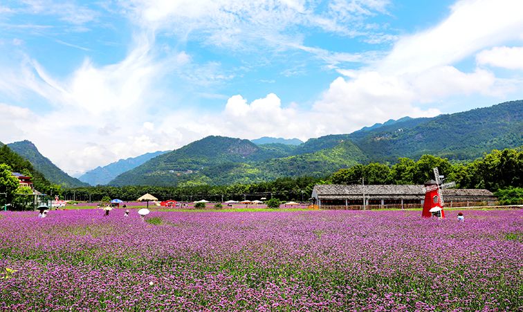 沙头镇豫章村位于楠溪江旅游核心圈,毗邻永嘉书院,香樟花园两大楠溪江