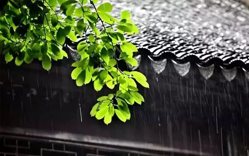 《雨巷深深》 张明 到了深秋,天气渐渐冷起来,屋檐下的雨却滴滴答答