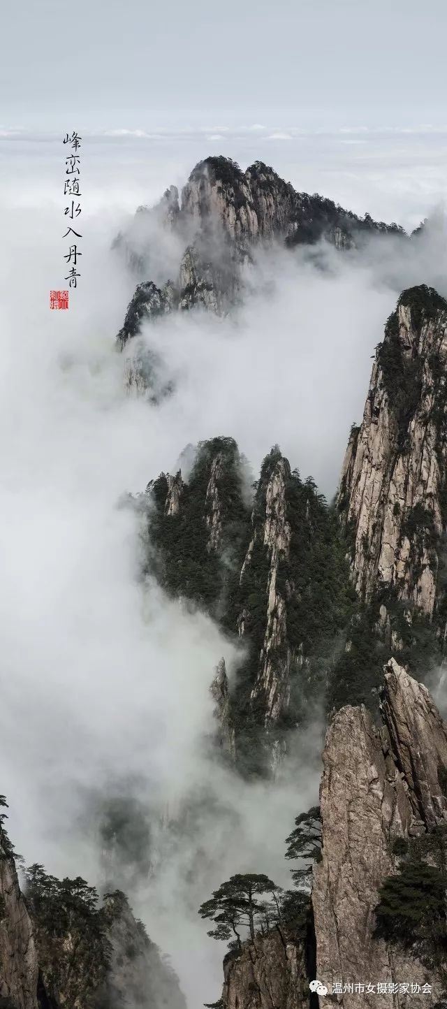 《烟雨黄山》