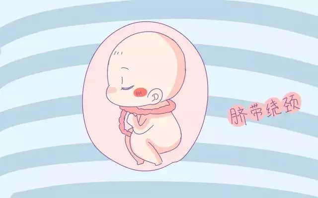 大概在孕4月以后吧,妈妈就会开始感受到肚子胎儿的行为活动,宝宝每天