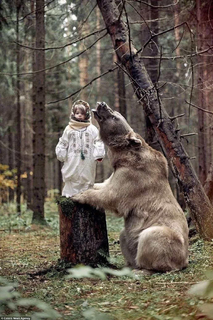 一对俄罗斯夫妇收养了这只大熊，就从此成了他们的“熊孩子”了。