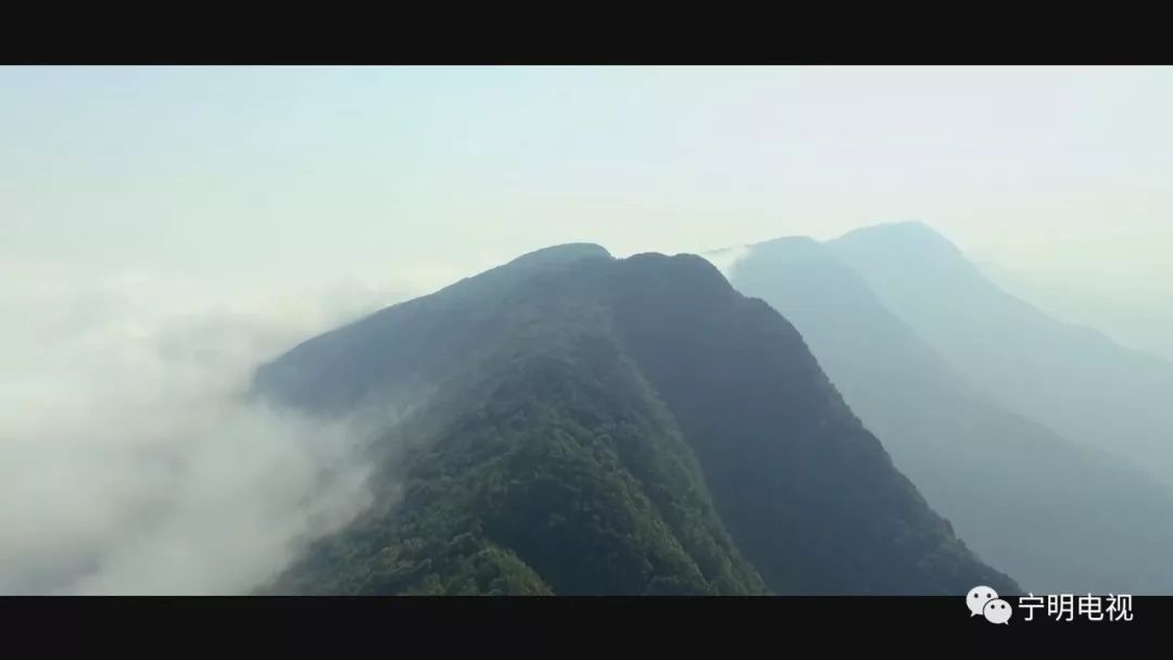 派阳山森林公园,狮子头森林公园,中越跨境公母山等100多处山河美景